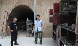 爸爸吃女儿的小兔子