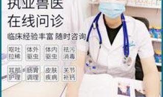 网上宠物医院咨询