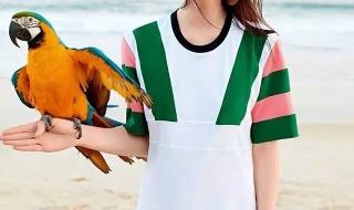 维多利亚的秘密2009