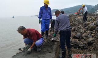 混泥土破损修复厂家