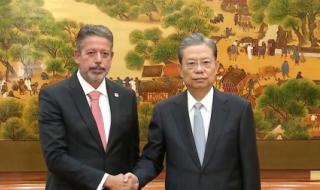 巴西世界杯预选赛2023